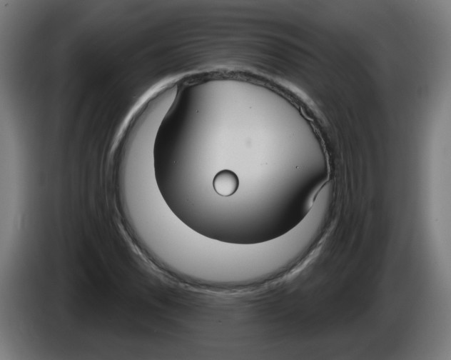 X0000086221118200704261831