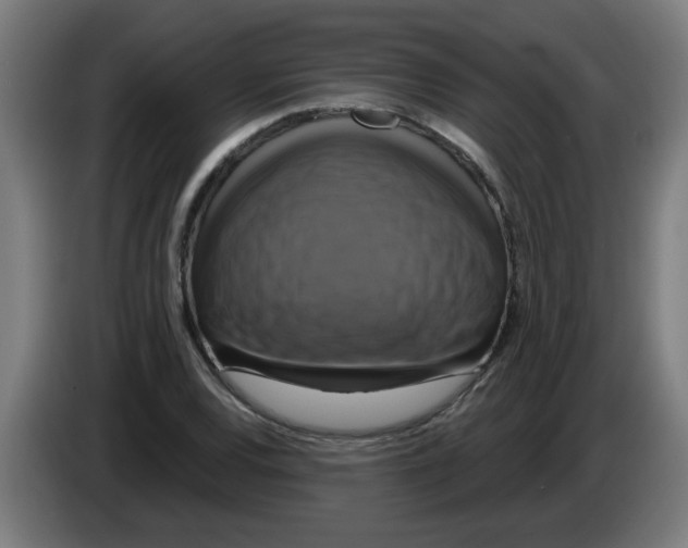 X0000086221120200704261831