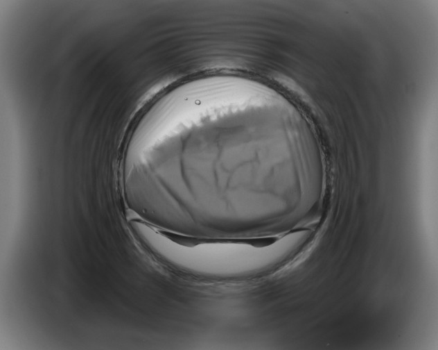 X0000086221121200704261831