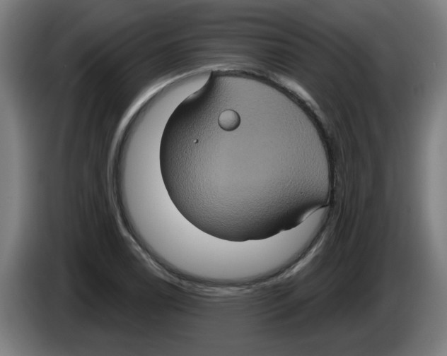 X0000086221122200704261831