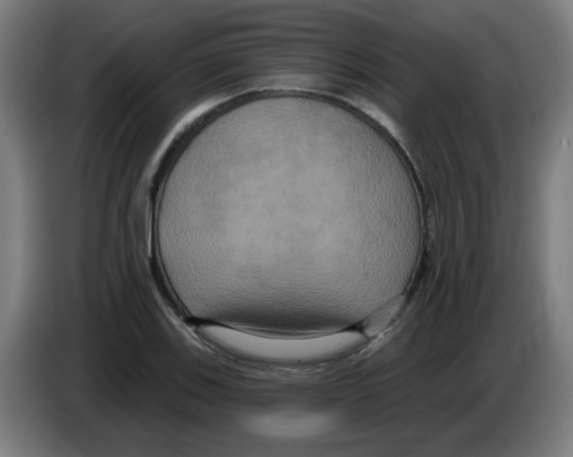 X0000086221123200704261831