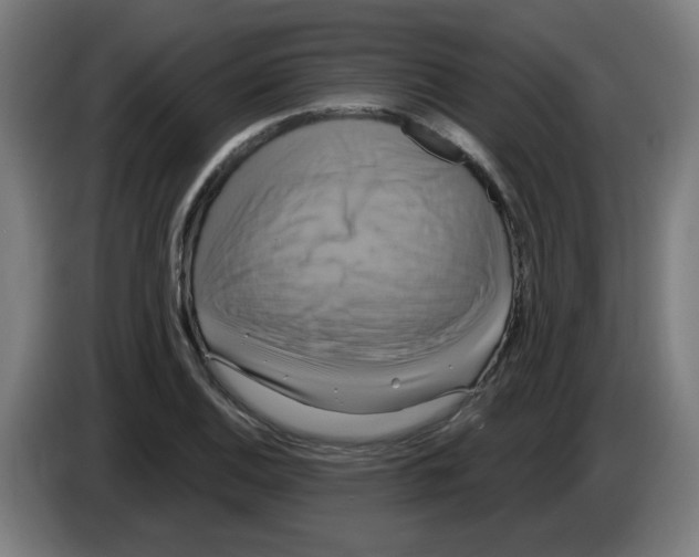 X0000086221124200704261831