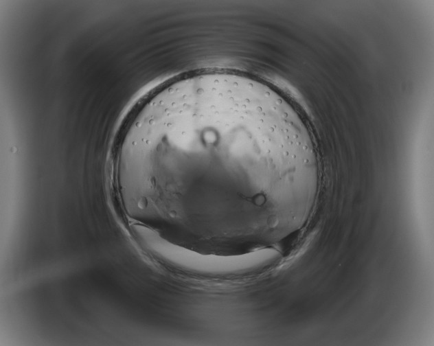 X0000086221125200704261831