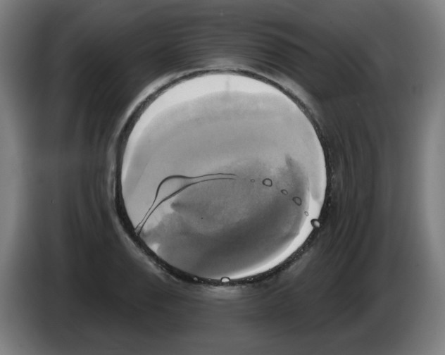 X0000086221126200704261831