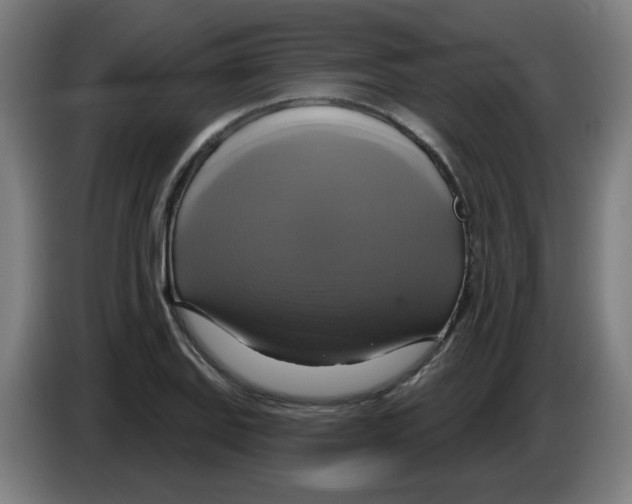 X0000086221127200704261831