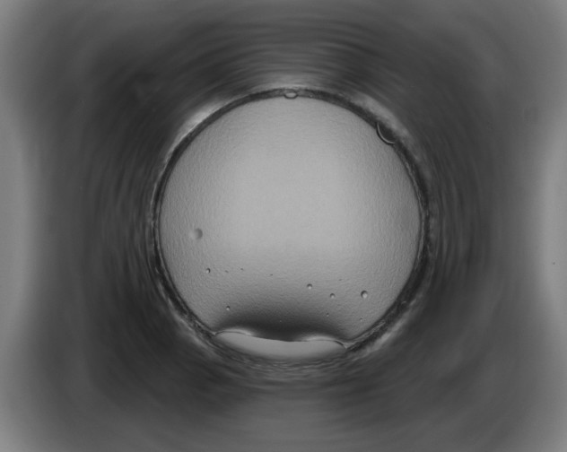 X0000086221129200704261831