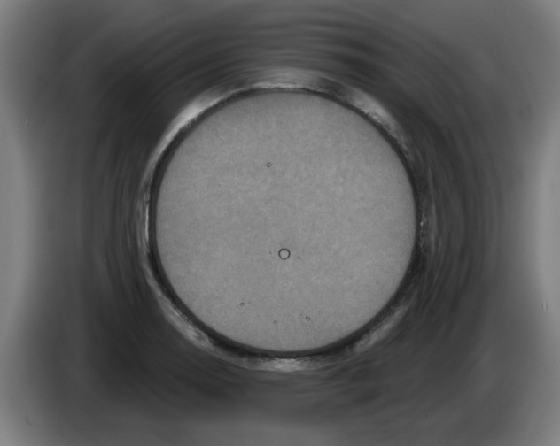 X0000086221130200704261831