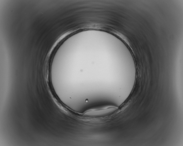 X0000086221131200704261831