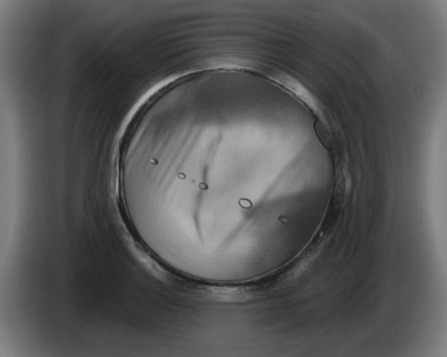 X0000086221132200704261831