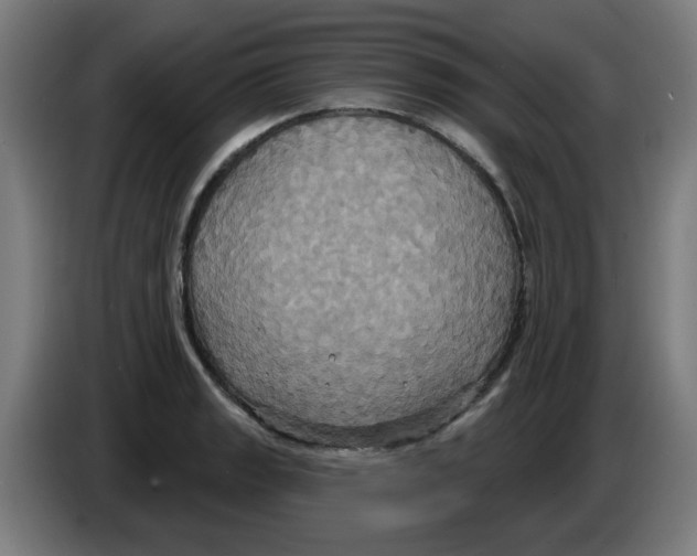 X0000086221133200704261831