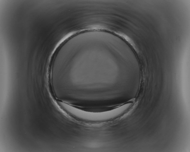 X0000086221134200704261831