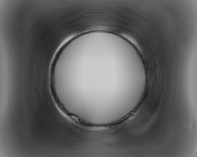 X0000086221135200704261831