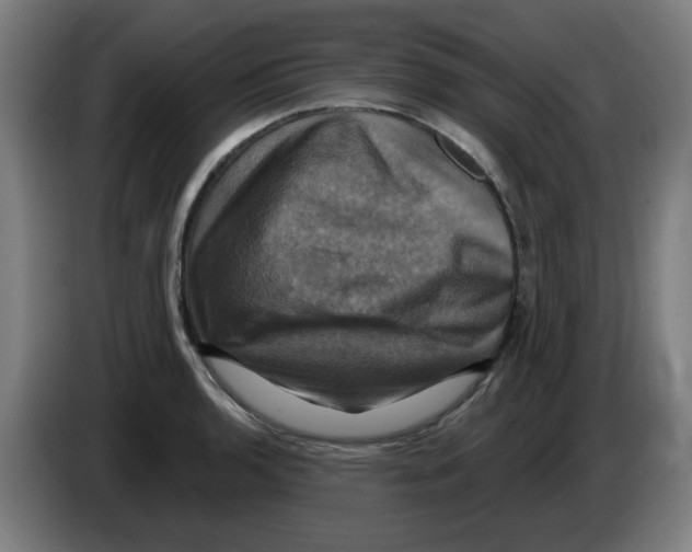 X0000086221136200704261831