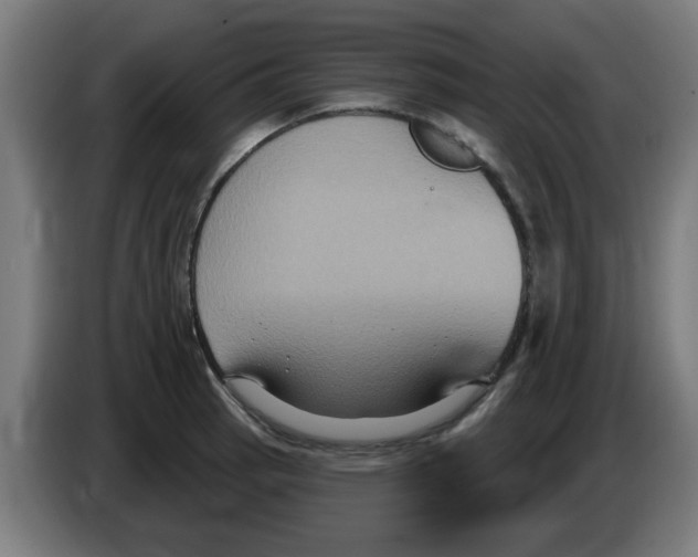 X0000086221137200704261831