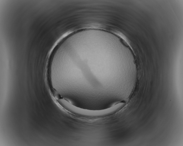 X0000086221139200704261831