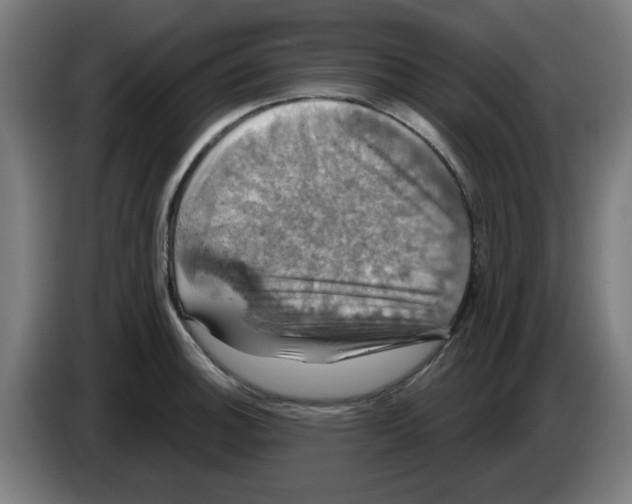 X0000086221140200704261831