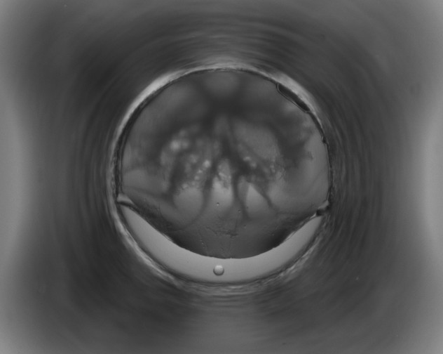 X0000086221142200704261831