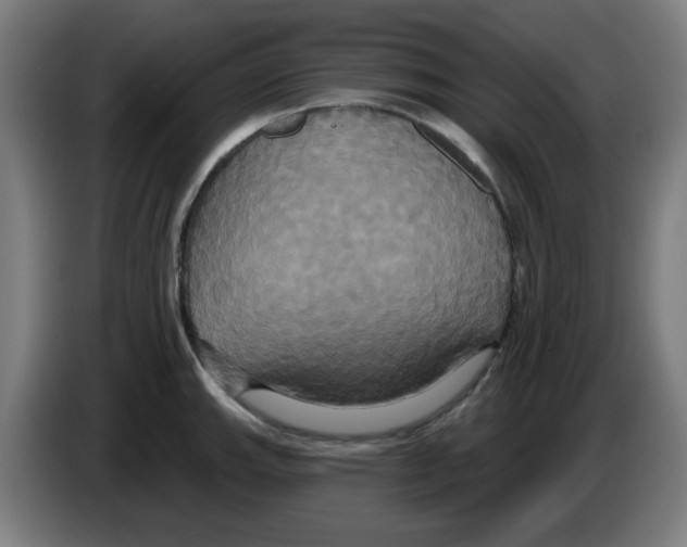 X0000086221143200704261831