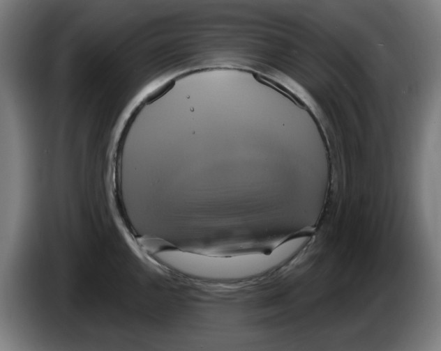 X0000086221144200704261831