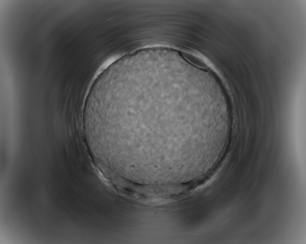 X0000086221145200704261831