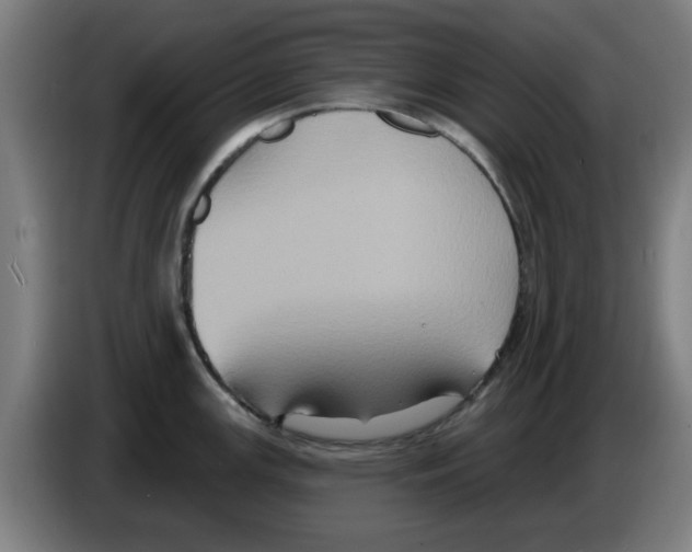 X0000086221147200704261831