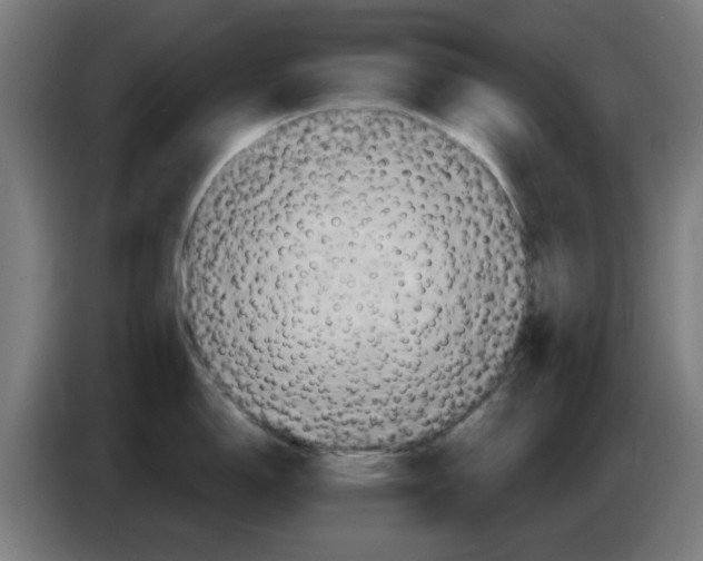 X0000086221150200704261831