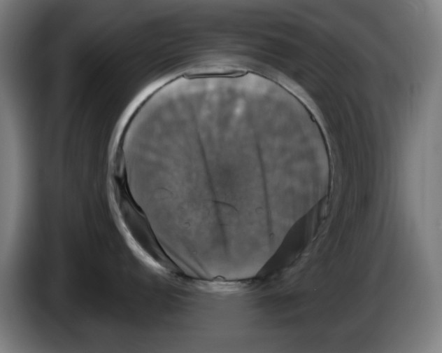 X0000086221152200704261831