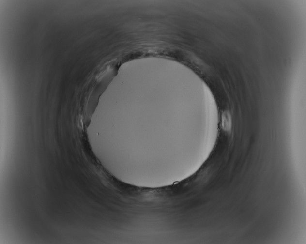 X0000086221155200704261830