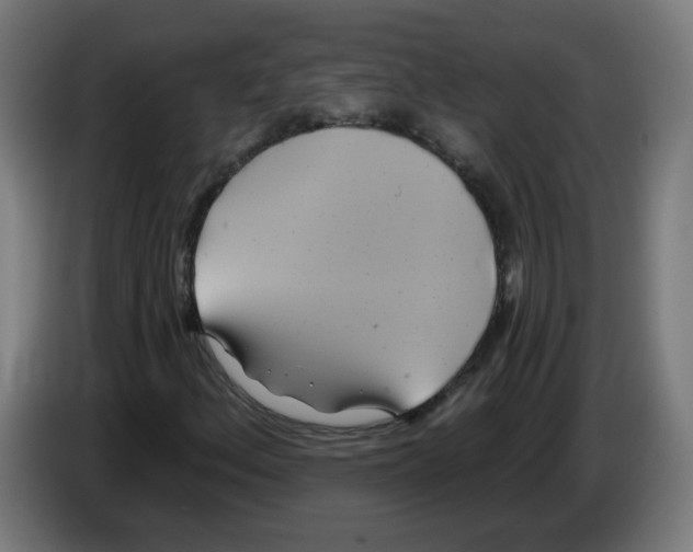 X0000086221156200704261830