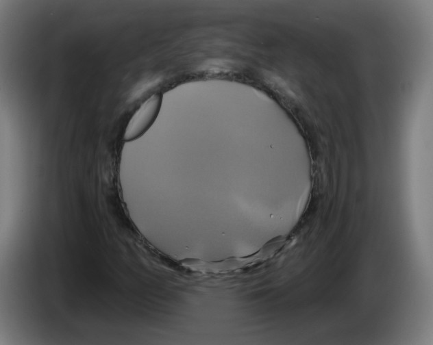 X0000086221158200704261830