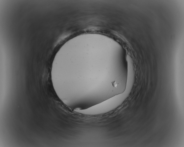 X0000086221160200704261830