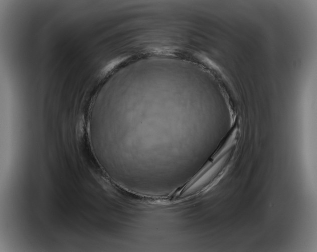 X0000086221161200704261830