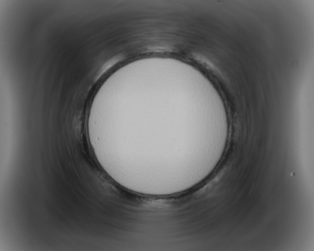 X0000086221162200704261830