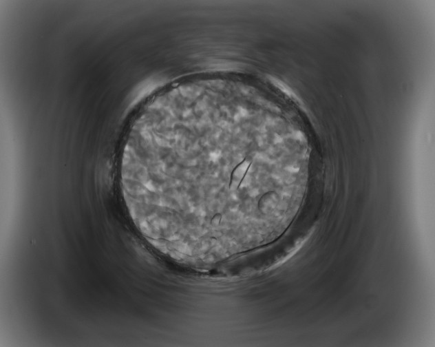 X0000086221163200704261830