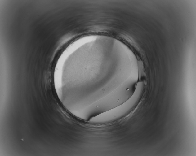 X0000086221164200704261830