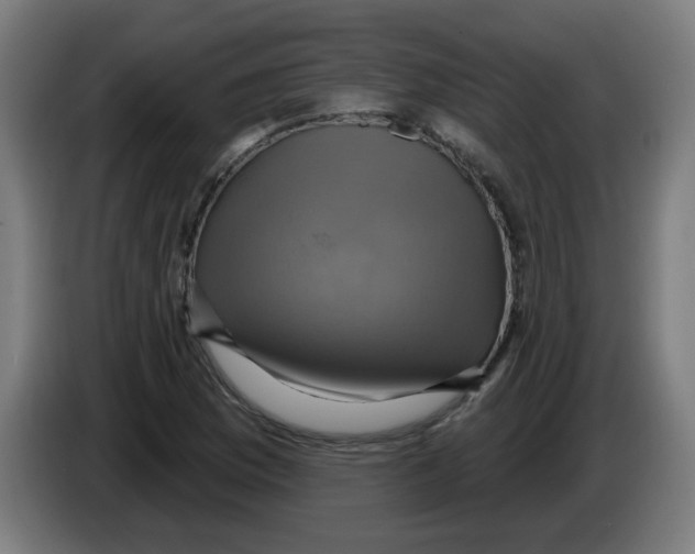 X0000086221169200704261830