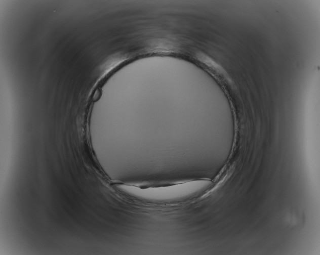 X0000086221170200704261830