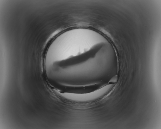 X0000086221171200704261830