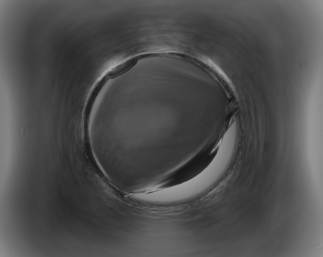 X0000086221173200704261830