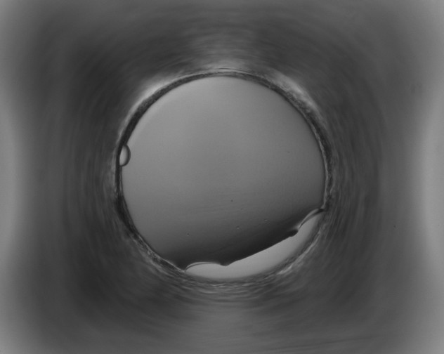 X0000086221174200704261830