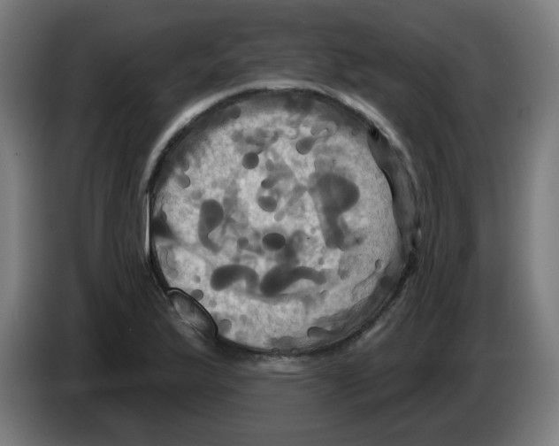 X0000086221175200704261830