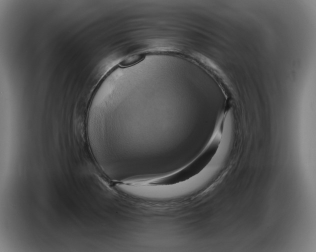 X0000086221177200704261830