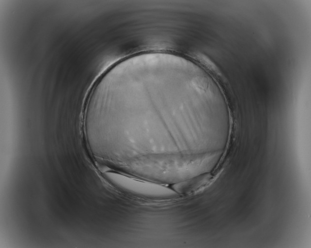 X0000086221178200704261830