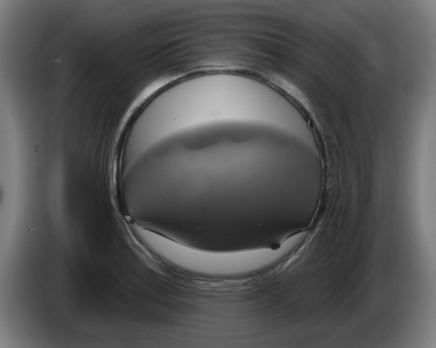 X0000086221179200704261830