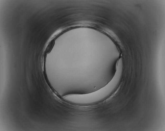 X0000086221180200704261830