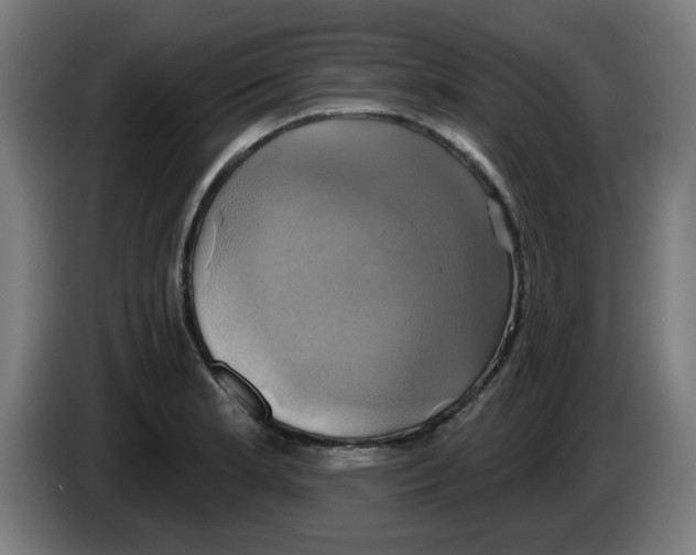 X0000086221181200704261830