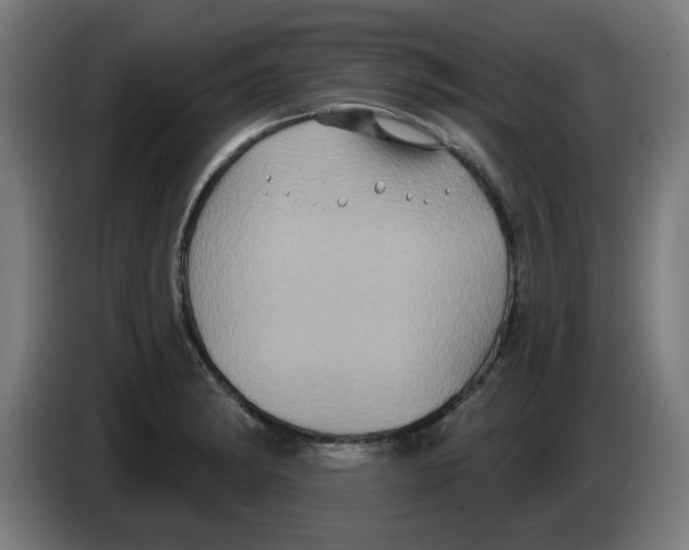 X0000086221182200704261830