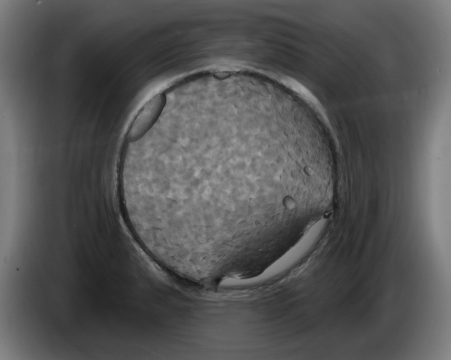 X0000086221183200704261830