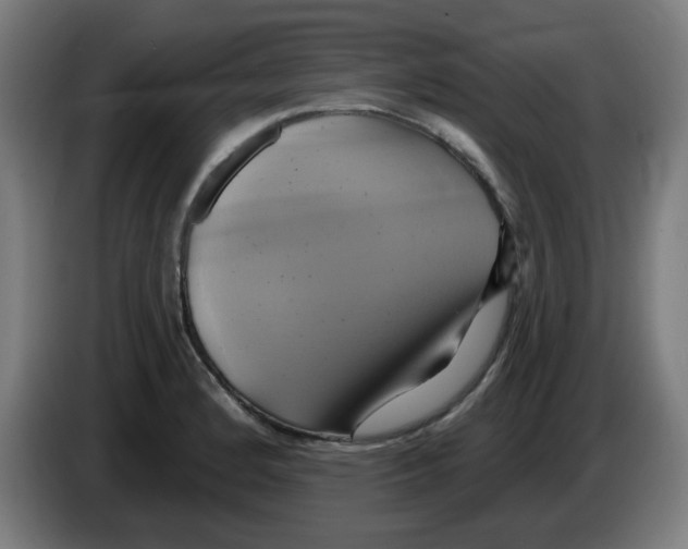 X0000086221184200704261830