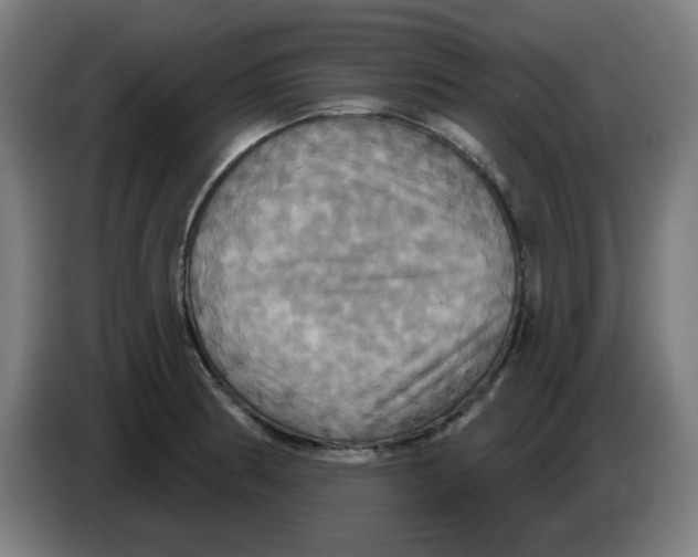 X0000086221186200704261830